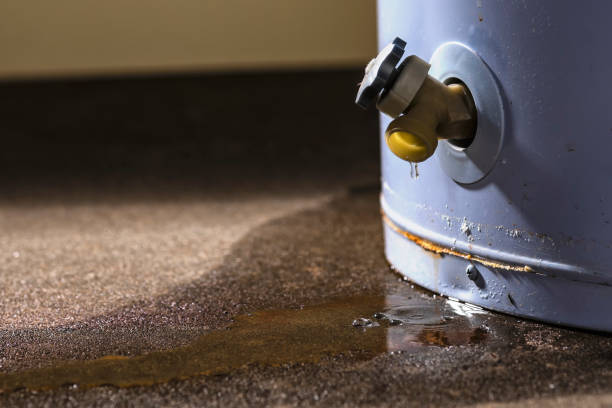 Best Ceiling water damage repair  in Lake Fenton, MI
