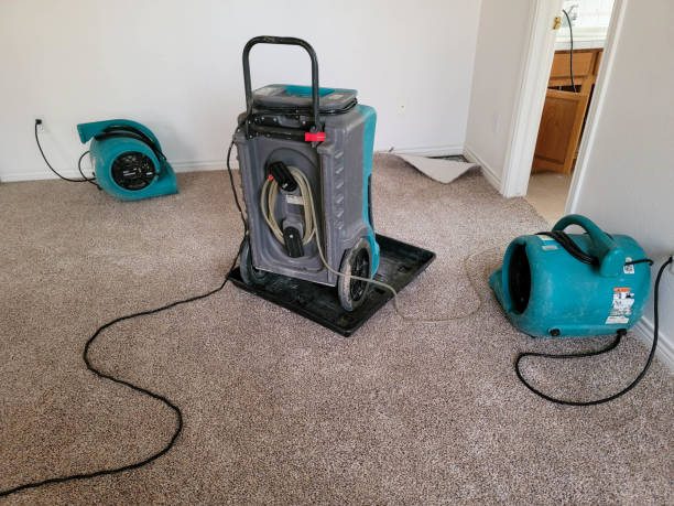 Best Basement water damage restoration  in Lake Fenton, MI