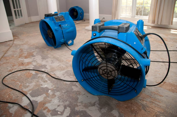 Best Emergency water damage restoration  in Lake Fenton, MI