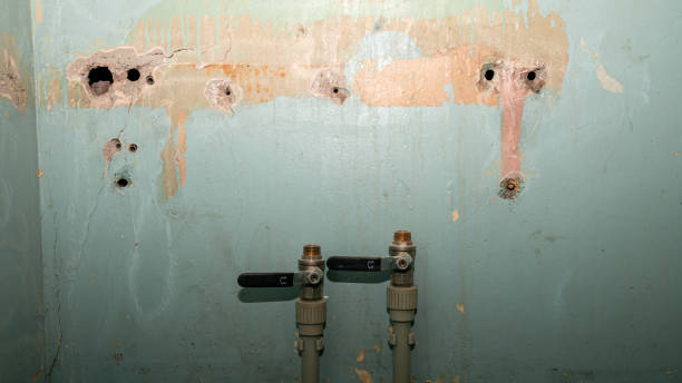 Best Residential water damage restoration  in Lake Fenton, MI