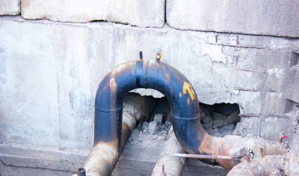 Best Local water damage restoration  in Lake Fenton, MI