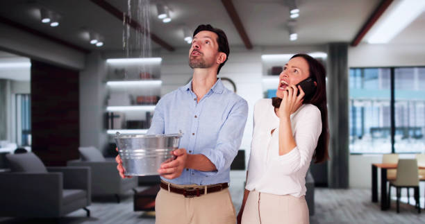 Best 24/7 water damage repair  in Lake Fenton, MI